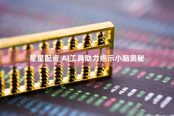 星星配资 AI工具助力揭示小脑奥秘