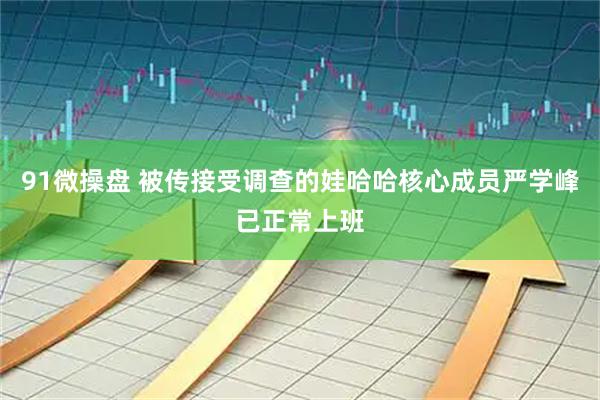 91微操盘 被传接受调查的娃哈哈核心成员严学峰已正常上班