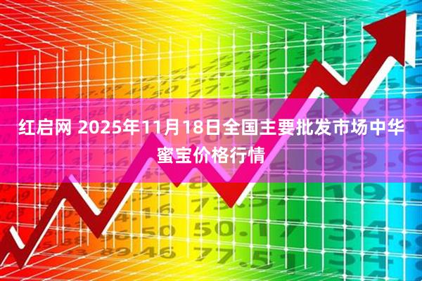 红启网 2025年11月18日全国主要批发市场中华蜜宝价格行情