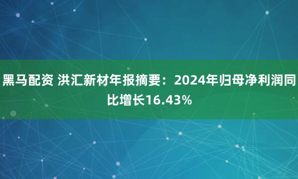 黑马配资 洪汇新材年报摘要：2024年归母净利润同比增长16.43%