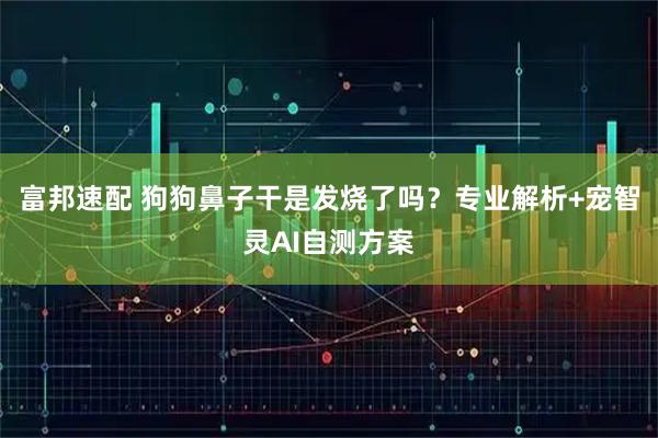 富邦速配 狗狗鼻子干是发烧了吗？专业解析+宠智灵AI自测方案